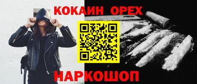 СК Гатчина