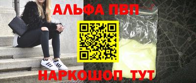 СК Гатчина
