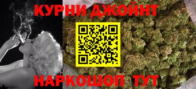 СК Гатчина