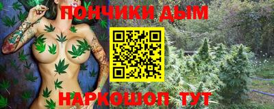 СК Гатчина