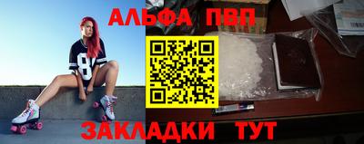 СК Гатчина
