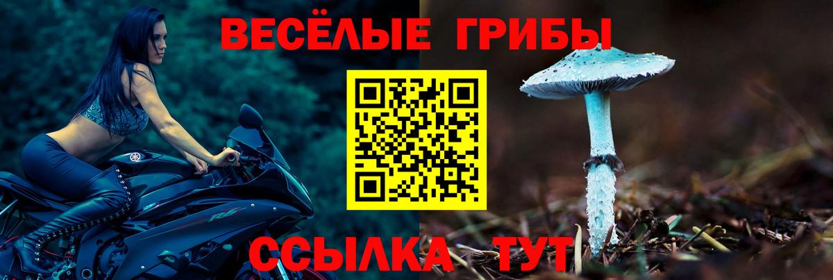 Курчатов  Псилоцибиновые грибы Cubensis  Галлюциногенные грибы Cubensis  Вход с VPN 