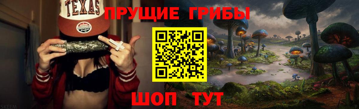 Псилоцибиновые грибы GOLDEN TEACHER Курчатов