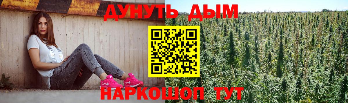 Бошки марихуана OG Kush  Вход с VPN  Марихуана семена  Курчатов  МАРИХУАНА Bruce Banner  Каннабис конопля 